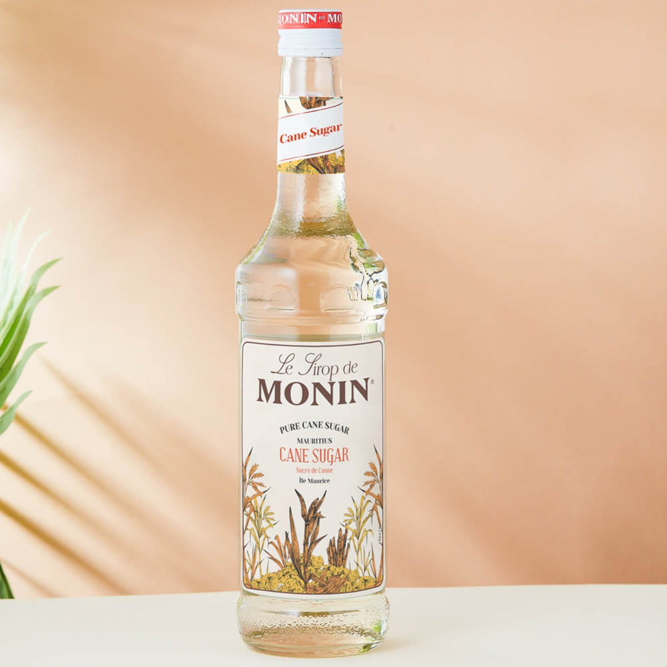 Monin Cane Sugar Syrup 70 cl - Barkonsult Sweden